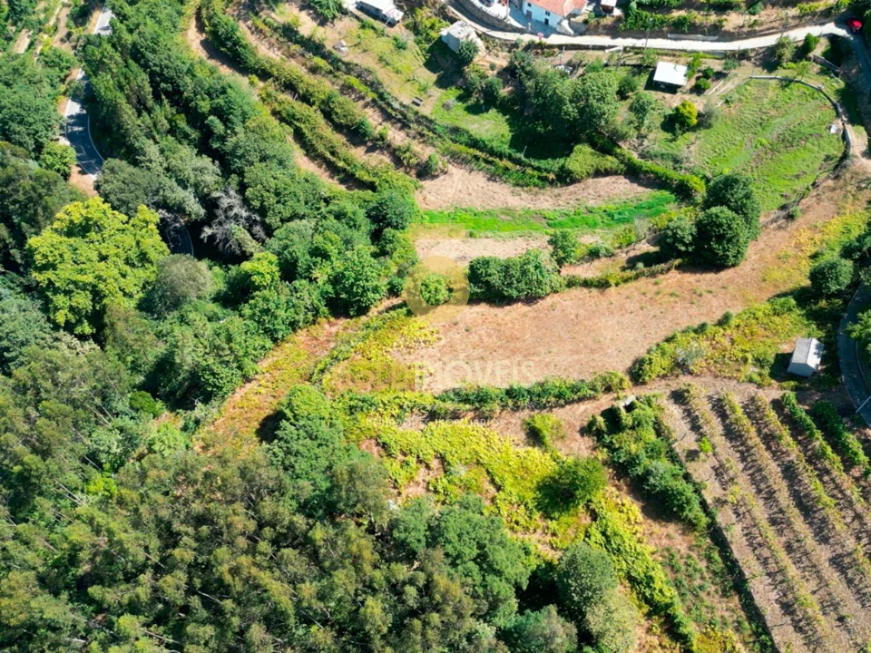 Terreno Agricola ou Rústico para Venda em Travanca Foto 2