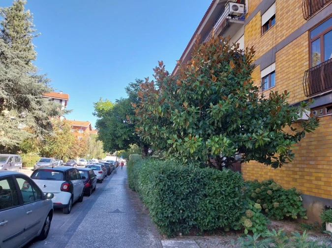 Apartamento T3 para Arrendamento em Sé Nova, Santa Cruz, Almedina e São Bartolomeu Foto 16
