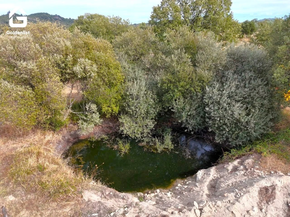 Quinta T0 para Venda em Penamacor Foto 10