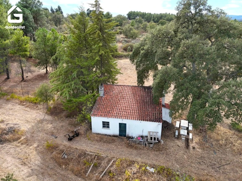 Quinta T0 para Venda em Penamacor Foto 3