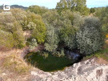 Quinta T0 para Venda em Penamacor
