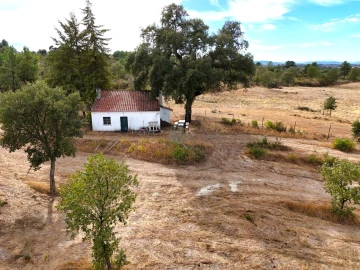 Quinta T0 para Venda em Penamacor