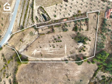 Quinta T0 para Venda em Penamacor