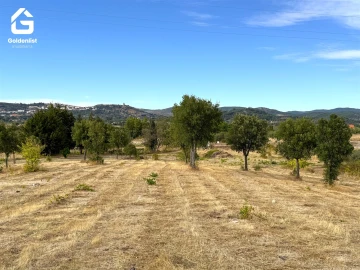 Quinta T0 para Venda em Penamacor