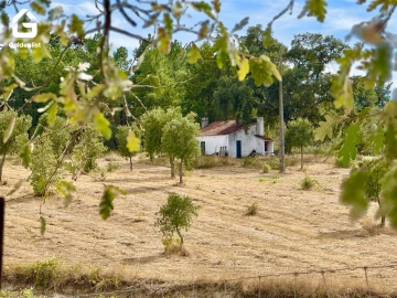 Quinta T0 para Venda em Penamacor
