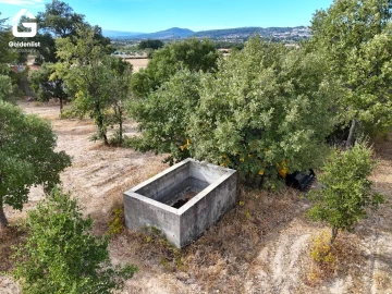 Quinta T0 para Venda em Penamacor