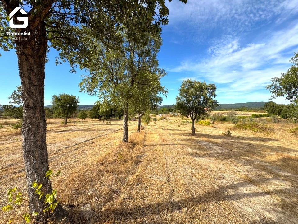 Quinta T0 para Venda em Penamacor Foto 35