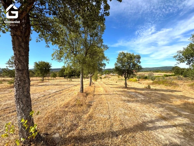 Quinta T0 para Venda em Penamacor Foto 35