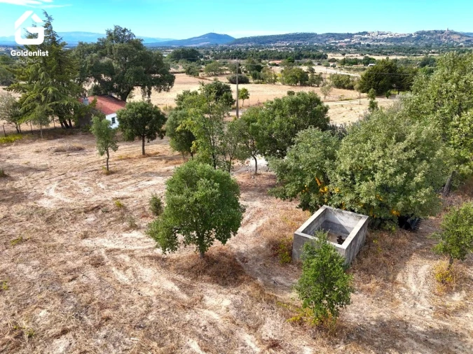 Quinta T0 para Venda em Penamacor Foto 8