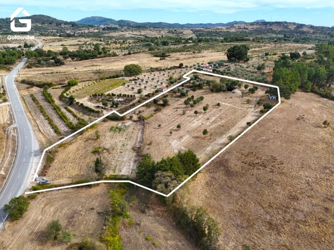 Quinta T0 para Venda em Penamacor Foto 6