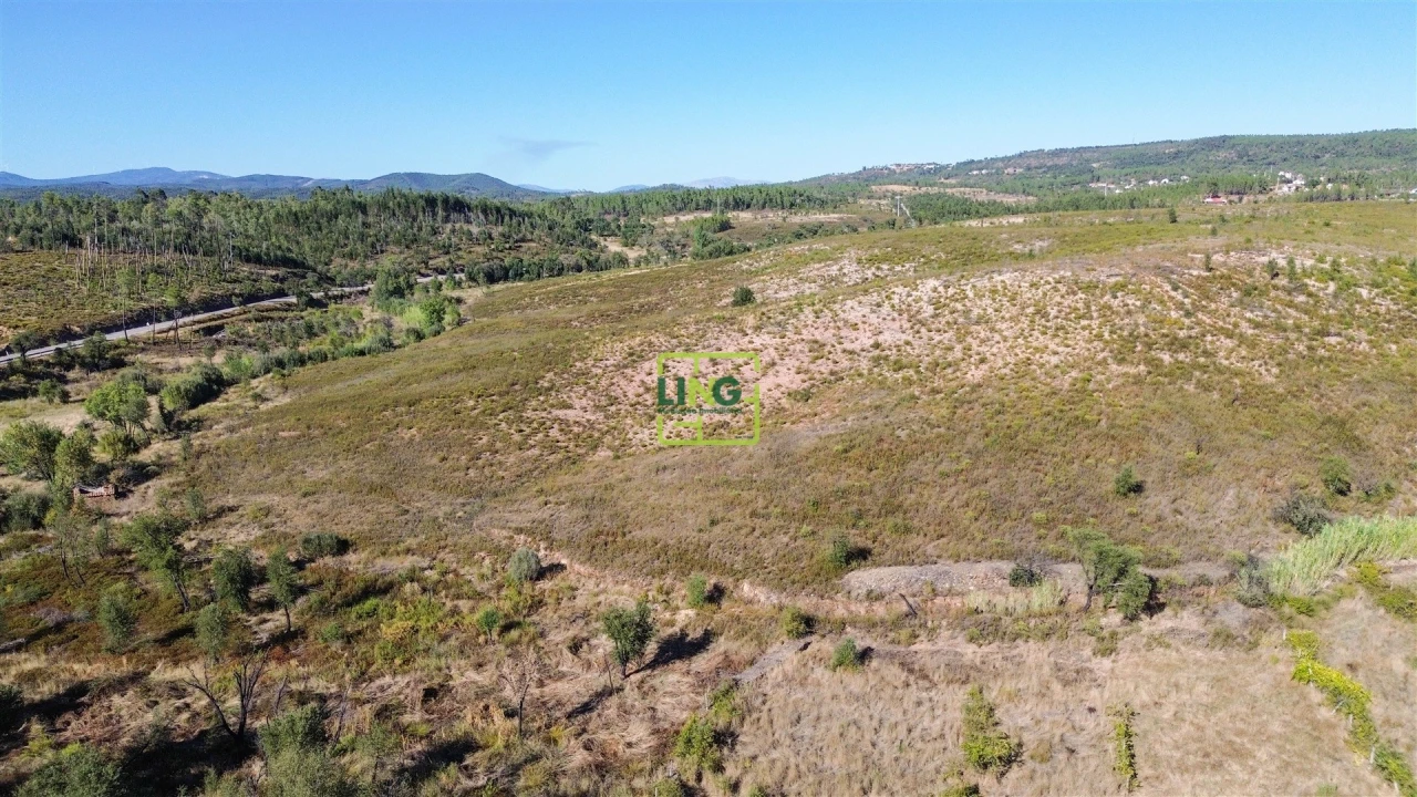 Terreno Agricola ou Rústico para Venda em Santo Andre das Tojeiras Foto 17