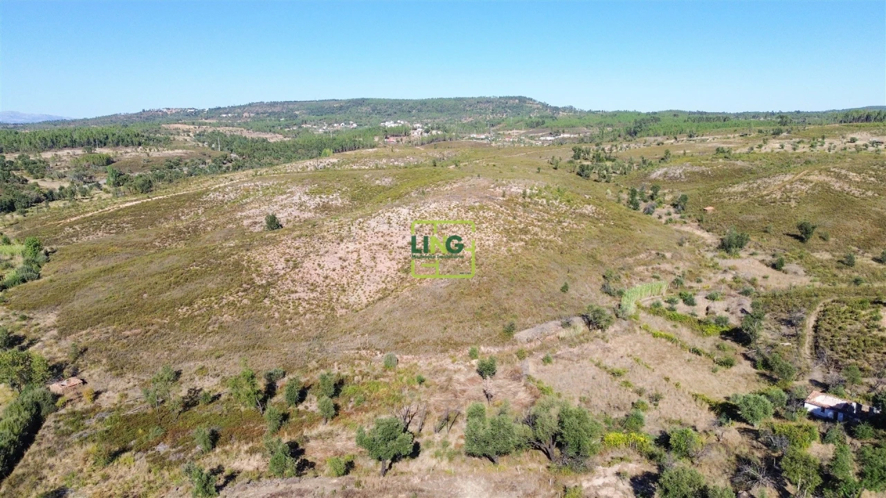 Terreno Agricola ou Rústico para Venda em Santo Andre das Tojeiras Foto 15