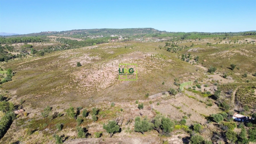 Terreno Agricola ou Rústico para Venda em Santo Andre das Tojeiras Foto 15