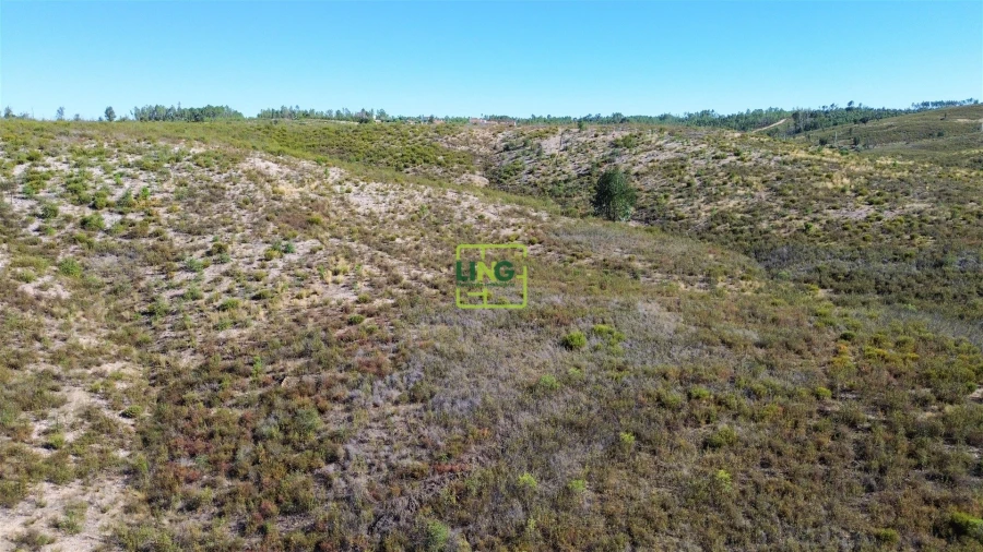 Terreno Agricola ou Rústico para Venda em Santo Andre das Tojeiras Foto 2