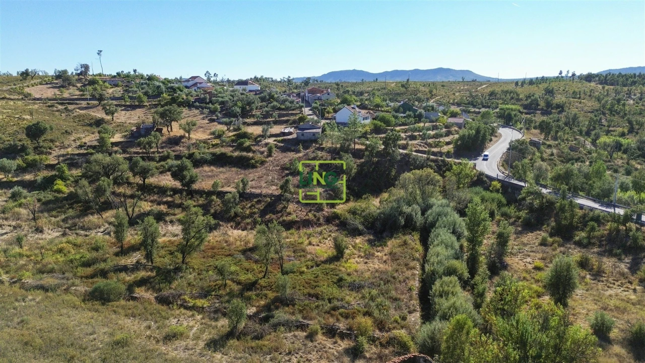 Terreno Agricola ou Rústico para Venda em Santo Andre das Tojeiras Foto 13