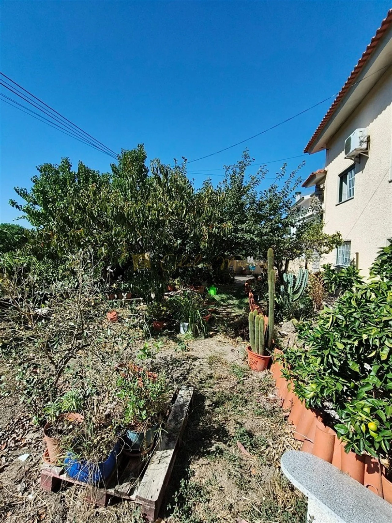 Moradia T4 para Venda em Fornos de Maceira Dão Foto 30