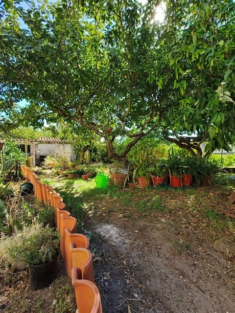 Moradia T4 para Venda em Fornos de Maceira Dão