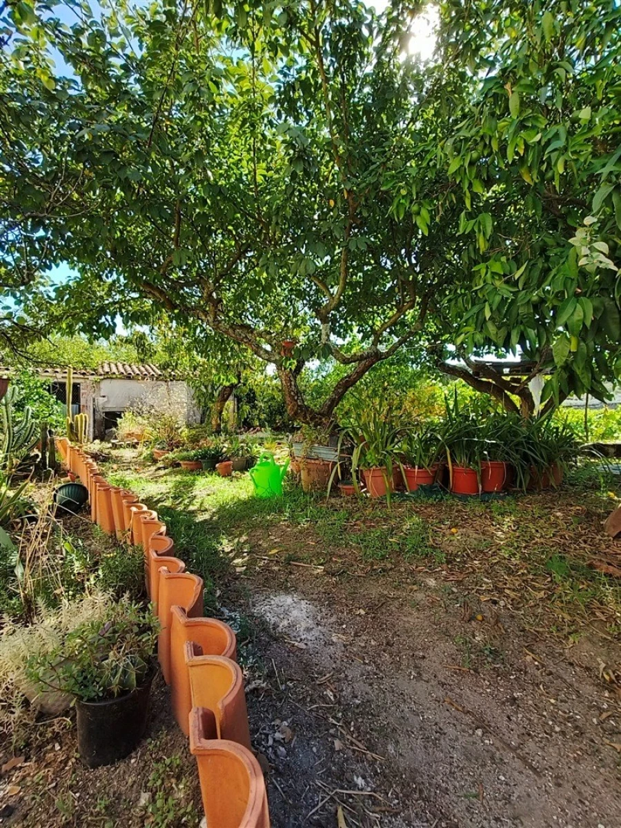 Moradia T4 para Venda em Fornos de Maceira Dão Foto 31
