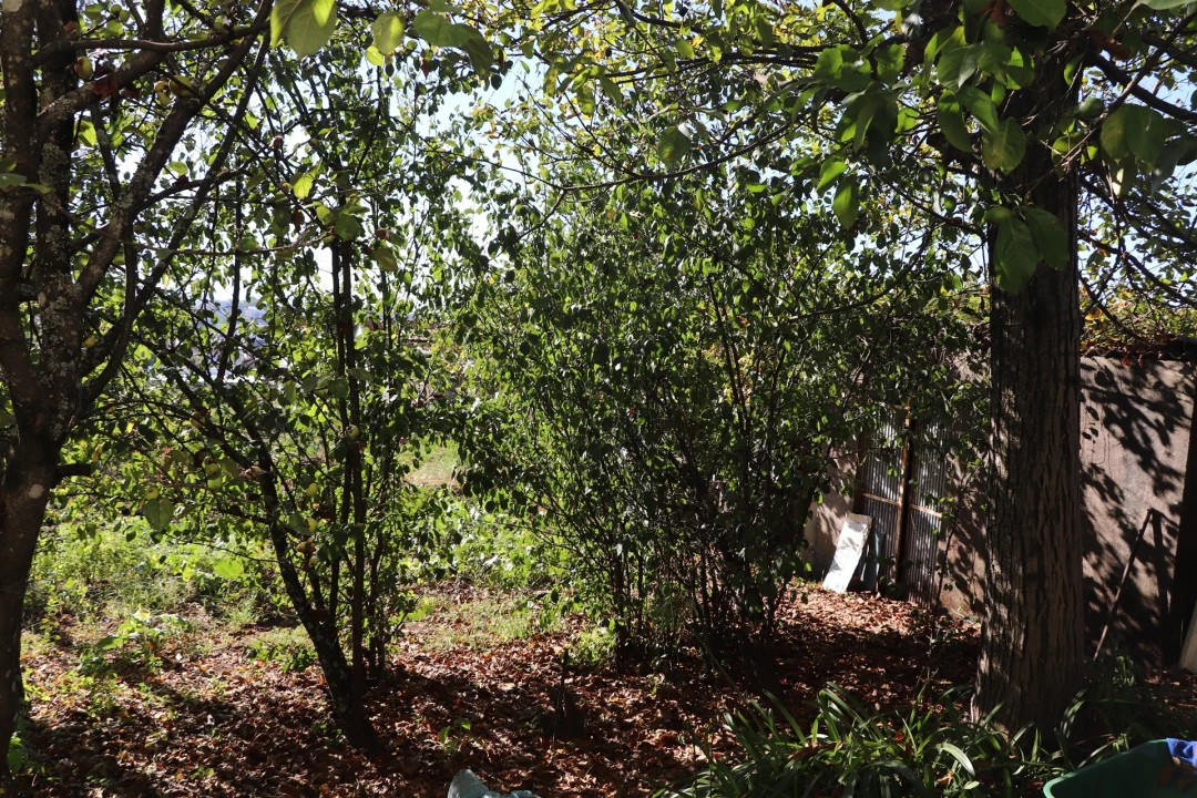 Moradia T3 para Venda em Freamunde Foto 31