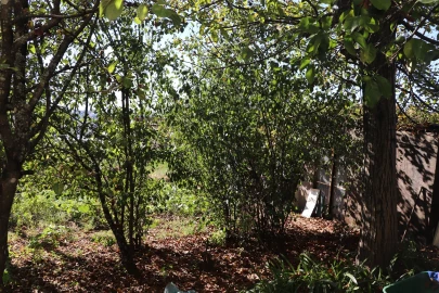 Moradia T3 para Venda em Freamunde