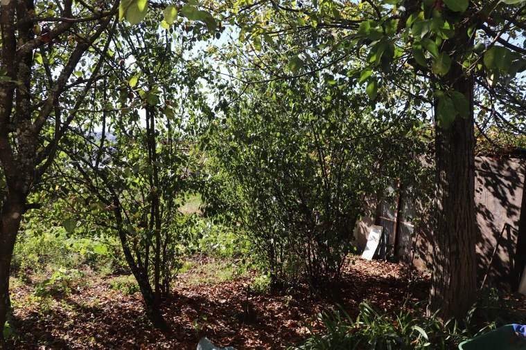 Moradia T3 para Venda em Freamunde Foto 31