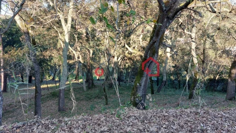 Moradia T2 para Venda em Nossa Senhora da Piedade