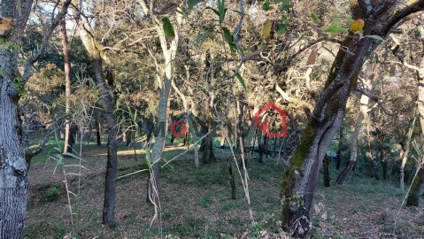Moradia T2 para Venda em Nossa Senhora da Piedade