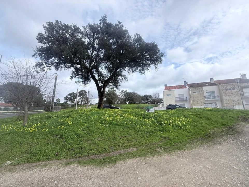 Terreno para Venda em Poceirão e Marateca Foto 2