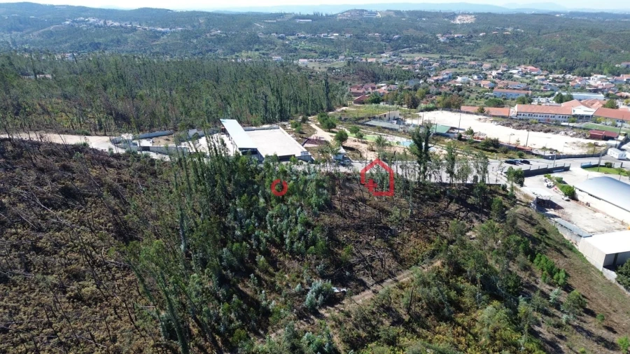 Terreno para Venda em Colmeias e Memória Foto 4