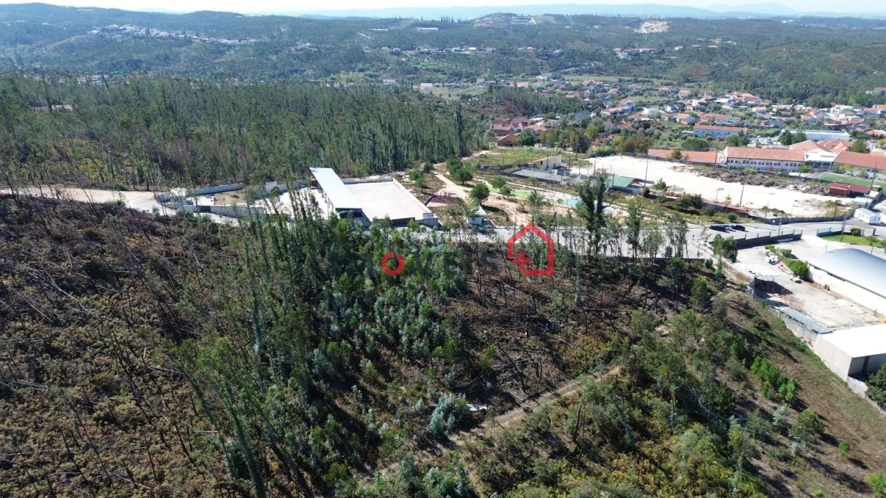 Terreno para Venda em Colmeias e Memória Foto 4