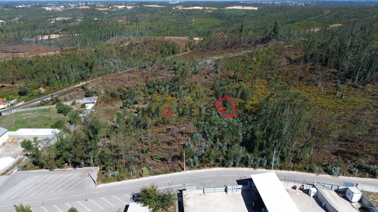 Terreno para Venda em Colmeias e Memória Foto 3