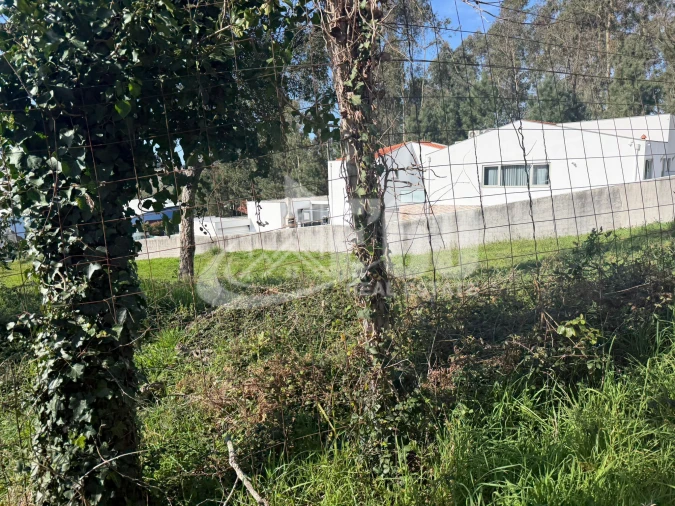 Terreno para Venda em Fiães Foto 15