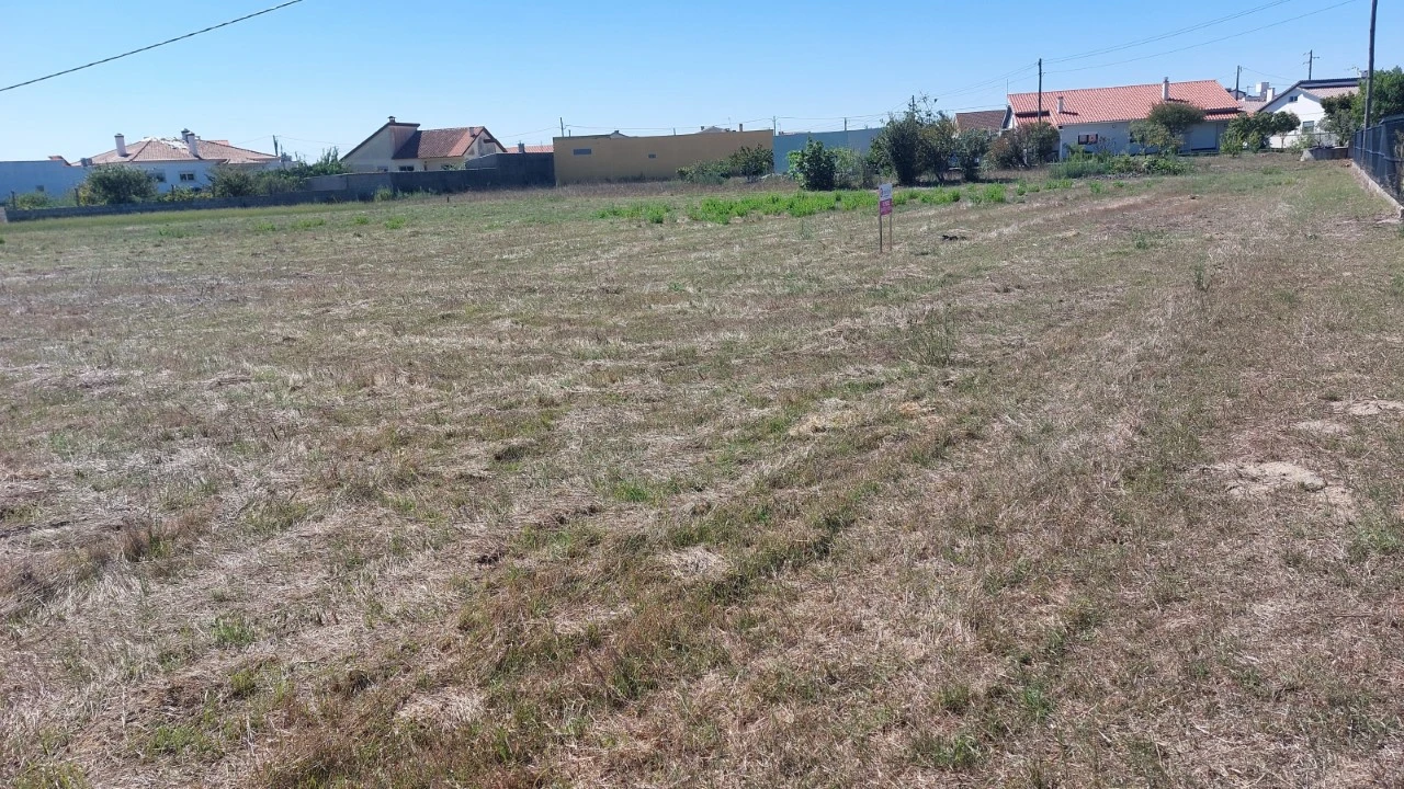 Terreno para Venda em Monte Real e Carvide Foto 4