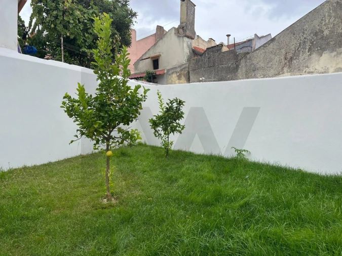 Apartamento T1 para Arrendamento em São Vicente Foto 9