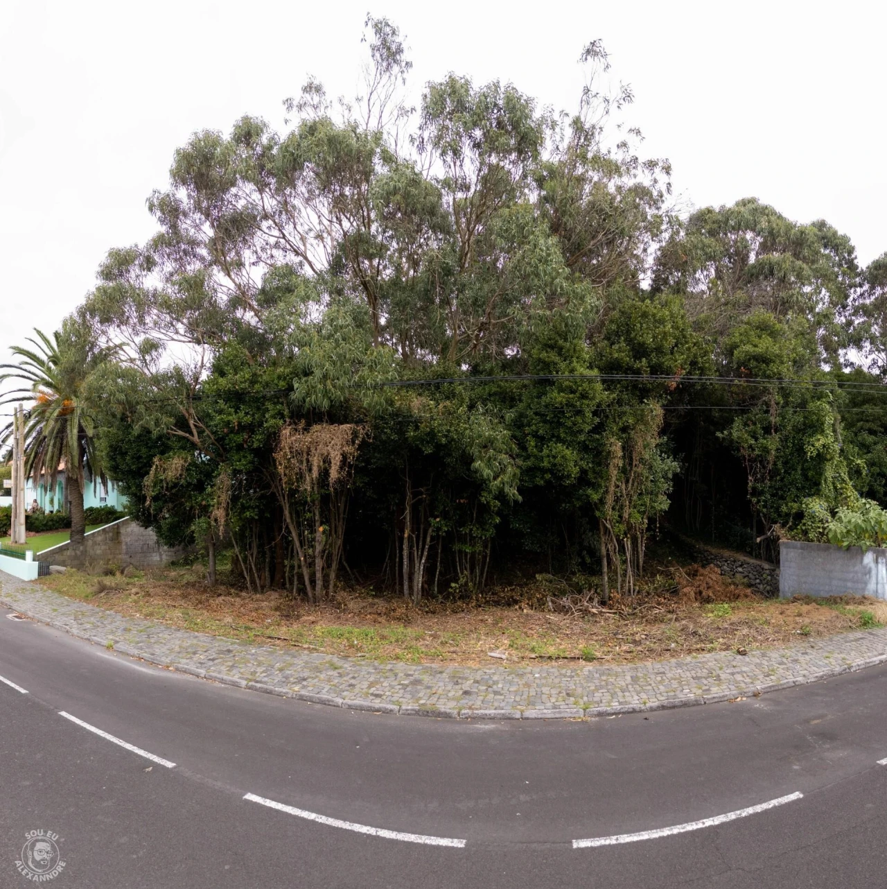 Terreno para Venda em Angra (São Pedro) Foto 3