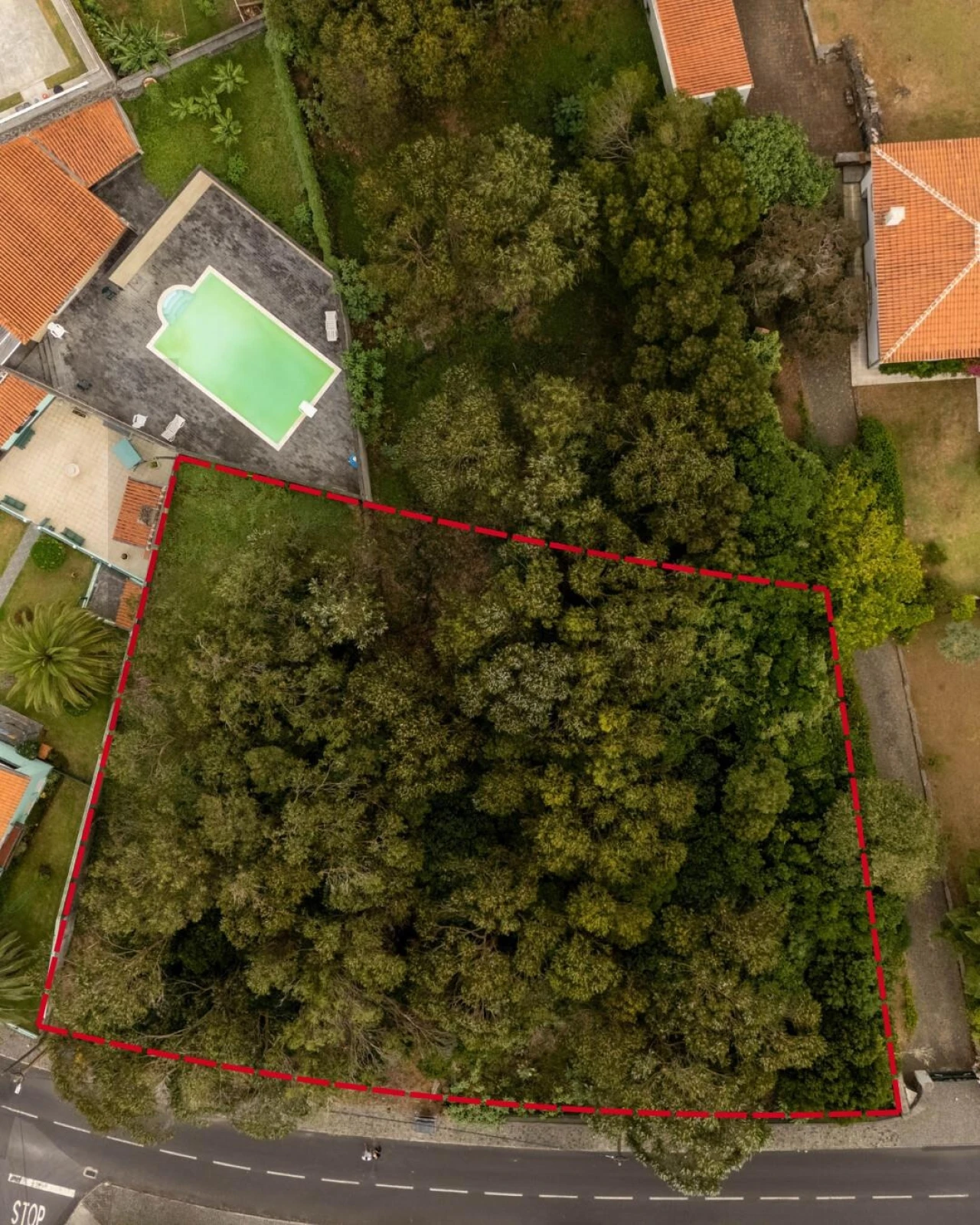 Terreno para Venda em Angra (São Pedro) Foto 2