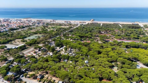 Apartamento T3 para Venda em Costa da Caparica