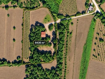 Terreno para Venda em Alfarelos