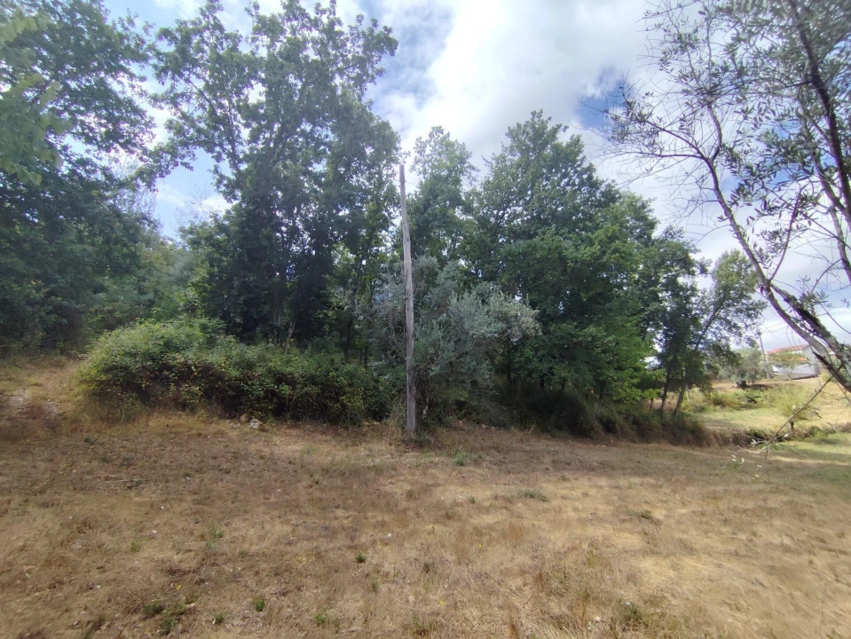 Terreno para Venda em Serpins Foto 9