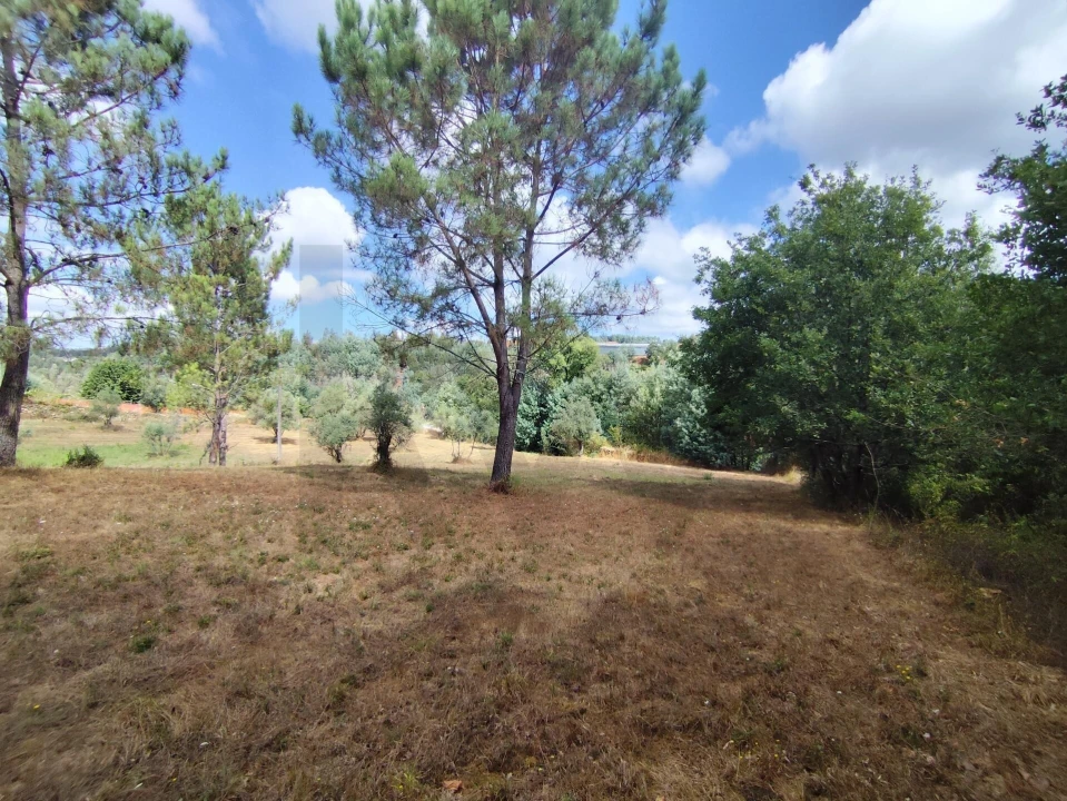 Terreno para Venda em Serpins Foto 7