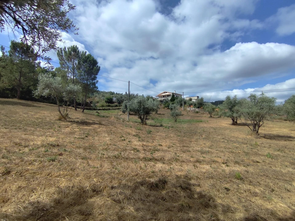 Terreno para Venda em Serpins Foto 20
