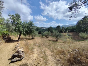 Terreno para Venda em Serpins