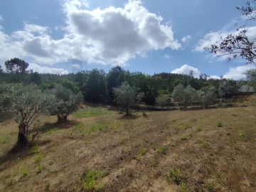 Terreno para Venda em Serpins