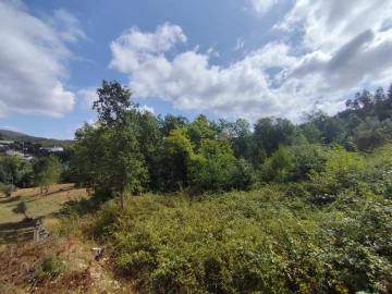 Terreno para Venda em Serpins
