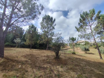 Terreno para Venda em Serpins