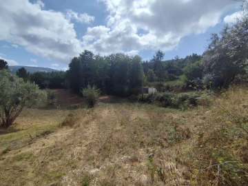 Terreno para Venda em Serpins