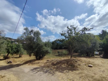 Terreno para Venda em Serpins