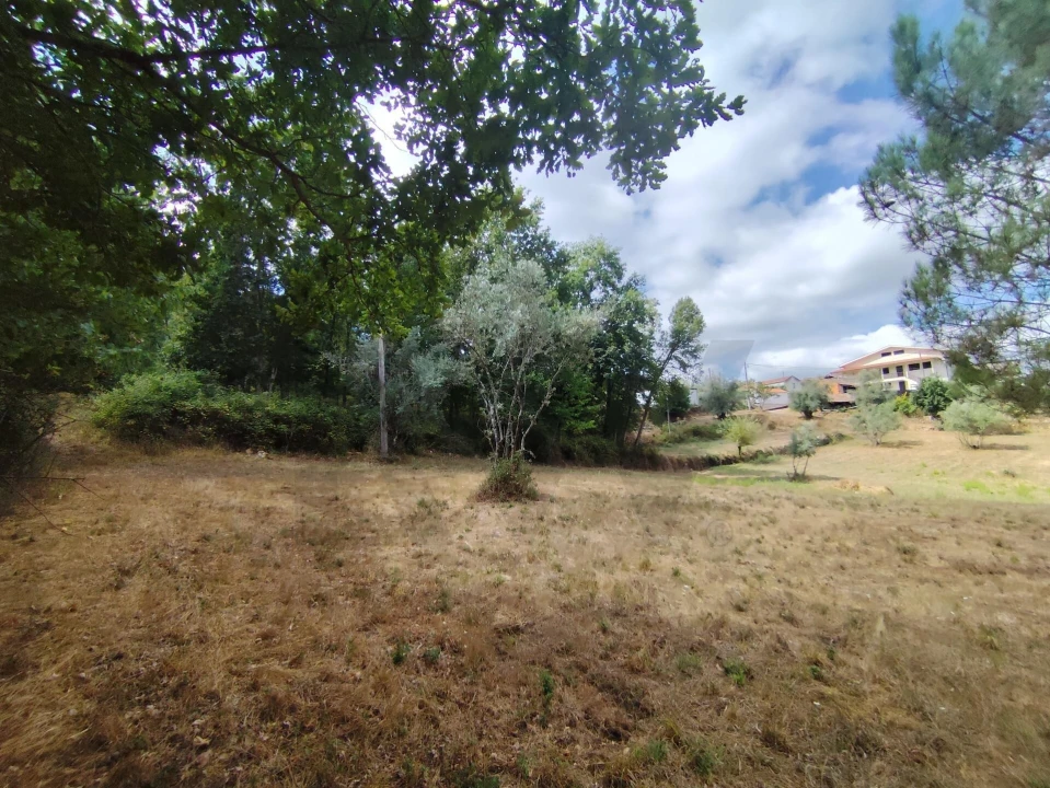 Terreno para Venda em Serpins Foto 8