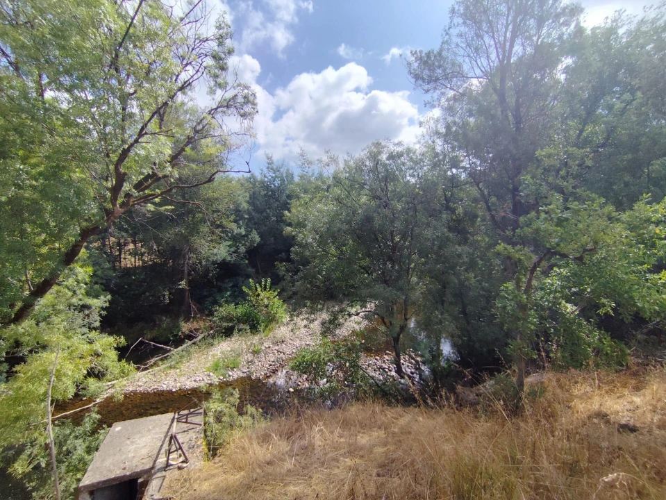 Terreno para Venda em Serpins Foto 18