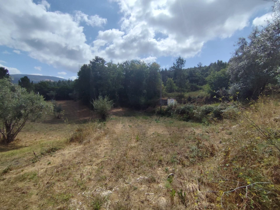 Terreno para Venda em Serpins Foto 15